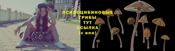 не бодяженный Алзамай